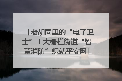 老胡同里的“电子卫士”！大栅栏街道“智慧消防”织就平安网