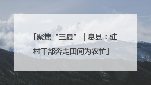 聚焦“三夏”｜息县：驻村干部奔走田间为农忙