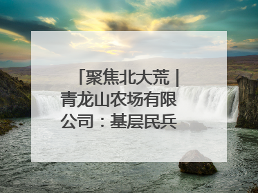 聚焦北大荒｜青龙山农场有限公司：基层民兵参与农业环境综合治理显效