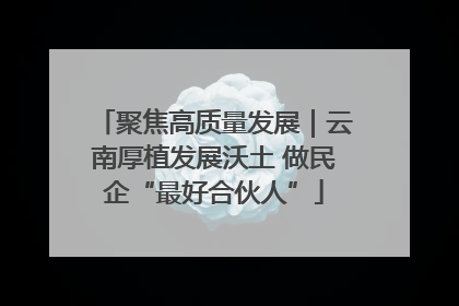 聚焦高质量发展｜云南厚植发展沃土 做民企“最好合伙人”