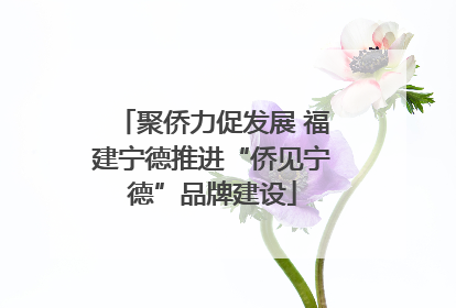 聚侨力促发展 福建宁德推进“侨见宁德”品牌建设