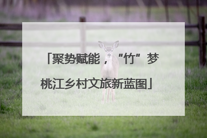 聚势赋能，“竹”梦桃江乡村文旅新蓝图