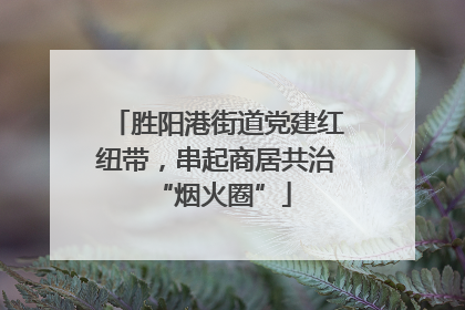 胜阳港街道党建红纽带，串起商居共治 “烟火圈”