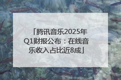 腾讯音乐2025年Q1财报公布：在线音乐收入占比近8成