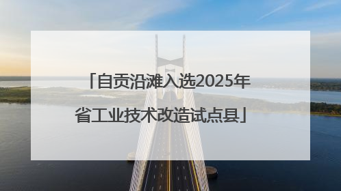 自贡沿滩入选2025年省工业技术改造试点县