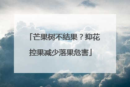 芒果树不结果？抑花控果减少落果危害