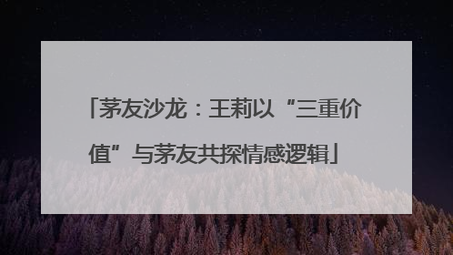 茅友沙龙：王莉以“三重价值”与茅友共探情感逻辑