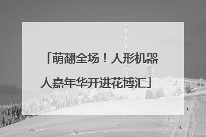 萌翻全场！人形机器人嘉年华开进花博汇