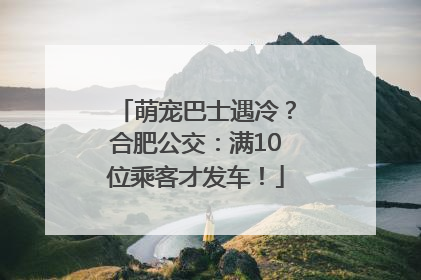 萌宠巴士遇冷？合肥公交：满10位乘客才发车！