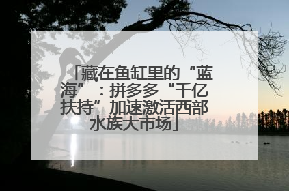 藏在鱼缸里的“蓝海”：拼多多“千亿扶持”加速激活西部水族大市场