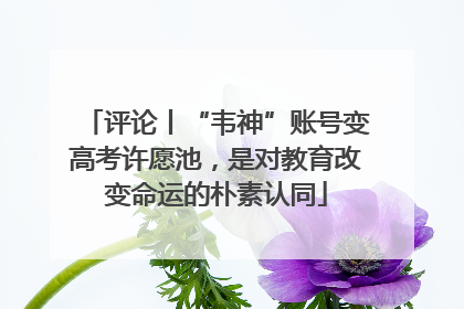 评论丨“韦神”账号变高考许愿池，是对教育改变命运的朴素认同