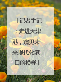 记者手记：走进天津港，窥见未来现代化港口的模样