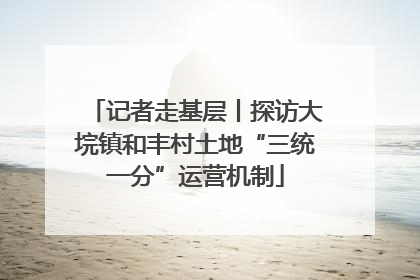 记者走基层丨探访大垸镇和丰村土地“三统一分”运营机制