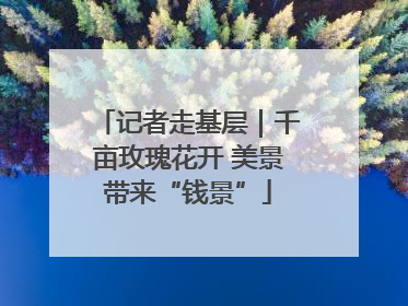 记者走基层｜千亩玫瑰花开 美景带来“钱景”
