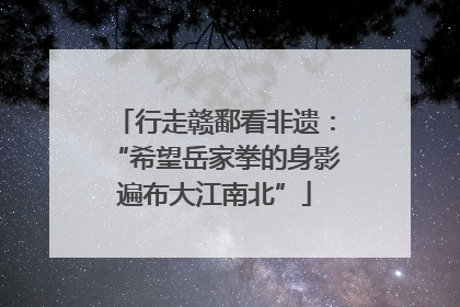 行走赣鄱看非遗：“希望岳家拳的身影遍布大江南北”