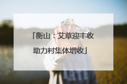 衡山：艾草迎丰收 助力村集体增收