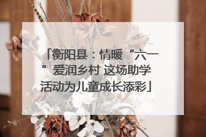 衡阳县：情暖“六一”爱润乡村 这场助学活动为儿童成长添彩
