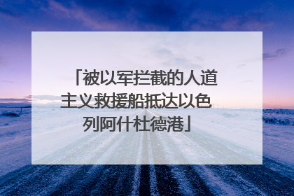 被以军拦截的人道主义救援船抵达以色列阿什杜德港
