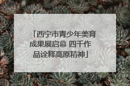 西宁市青少年美育成果展启幕 四千作品诠释高原精神
