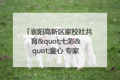 襄阳高新区家校社共育"七彩"童心 专家团支招智慧育儿