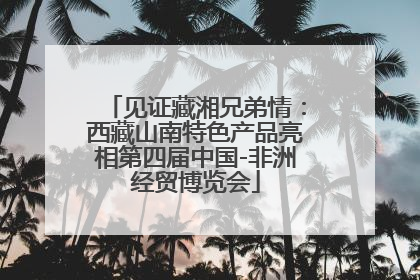 见证藏湘兄弟情：西藏山南特色产品亮相第四届中国-非洲经贸博览会