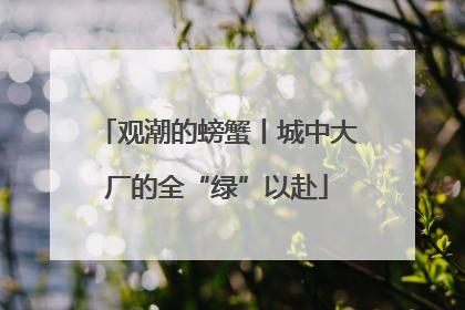 观潮的螃蟹丨城中大厂的全“绿”以赴