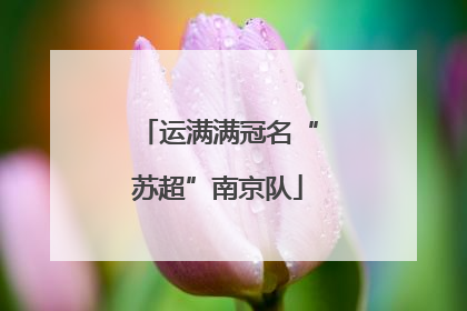 运满满冠名“苏超”南京队