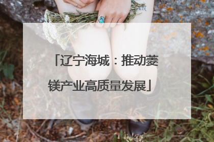 辽宁海城：推动菱镁产业高质量发展