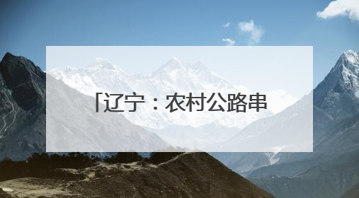 辽宁：农村公路串联起群众致富希望