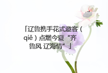 辽鲁携手花式邀客（qiě）点燃今夏“齐鲁风 辽海情”