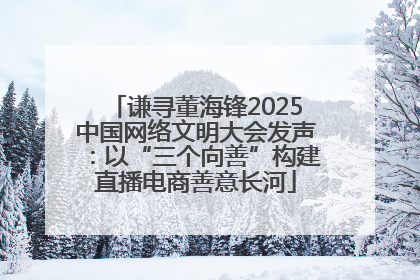 谦寻董海锋2025中国网络文明大会发声：以“三个向善”构建直播电商善意长河