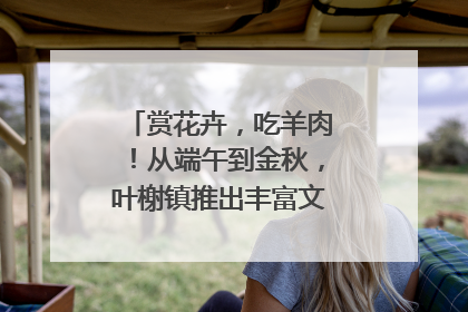 赏花卉，吃羊肉！从端午到金秋，叶榭镇推出丰富文旅活动邀您爽玩