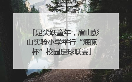 足尖跃童年，眉山彭山实验小学举行“海豚杯”校园足球联赛