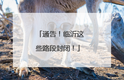 通告！临沂这些路段封闭！