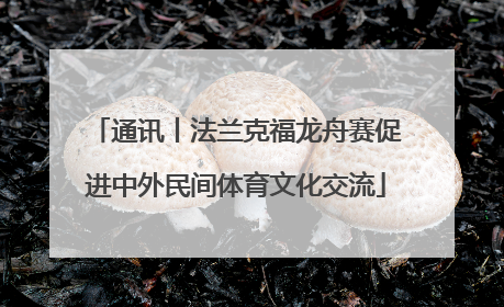通讯丨法兰克福龙舟赛促进中外民间体育文化交流