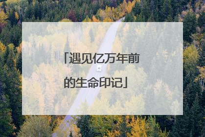 遇见亿万年前的生命印记