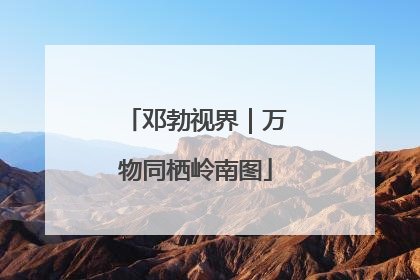 邓勃视界｜万物同栖岭南图