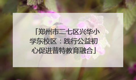 郑州市二七区兴华小学东校区：践行公益初心促进普特教育融合