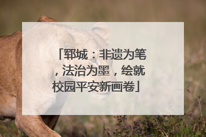 郓城：非遗为笔，法治为墨，绘就校园平安新画卷