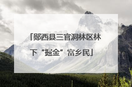 郧西县三官洞林区林下“掘金”富乡民