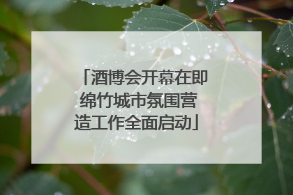 酒博会开幕在即 绵竹城市氛围营造工作全面启动