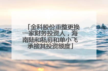 金科股份重整更换一家财务投资人，海南陆和私募和单小飞承接其投资额度