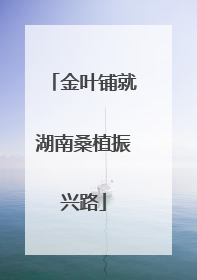 金叶铺就湖南桑植振兴路