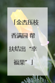 金杏压枝香满园 帮扶结出“幸福果”