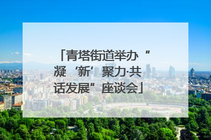青塔街道举办“凝‘新’聚力·共话发展”座谈会