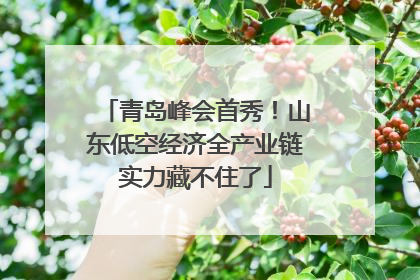 青岛峰会首秀！山东低空经济全产业链实力藏不住了