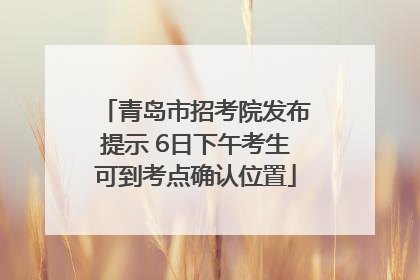 青岛市招考院发布提示 6日下午考生可到考点确认位置