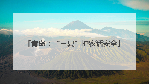 青岛：“三夏”护农话安全