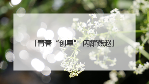 青春“创星” 闪耀燕赵
