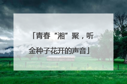 青春“湘”聚，听金种子花开的声音